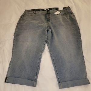 Lane Bryant Signature Fit Boyfriend Capri